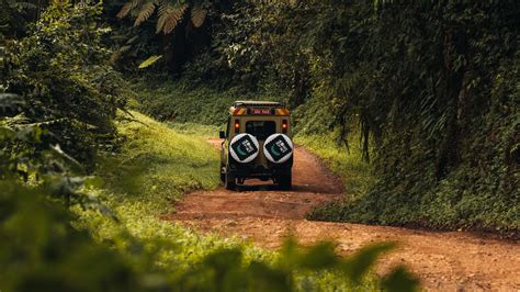 matoke tours uganda
